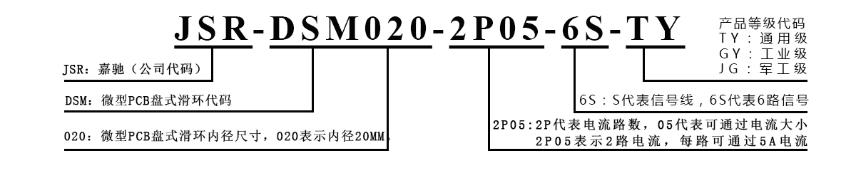 DSM020 DSM020